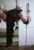 hanging_on_reduced