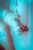 hanging_on_reduced
